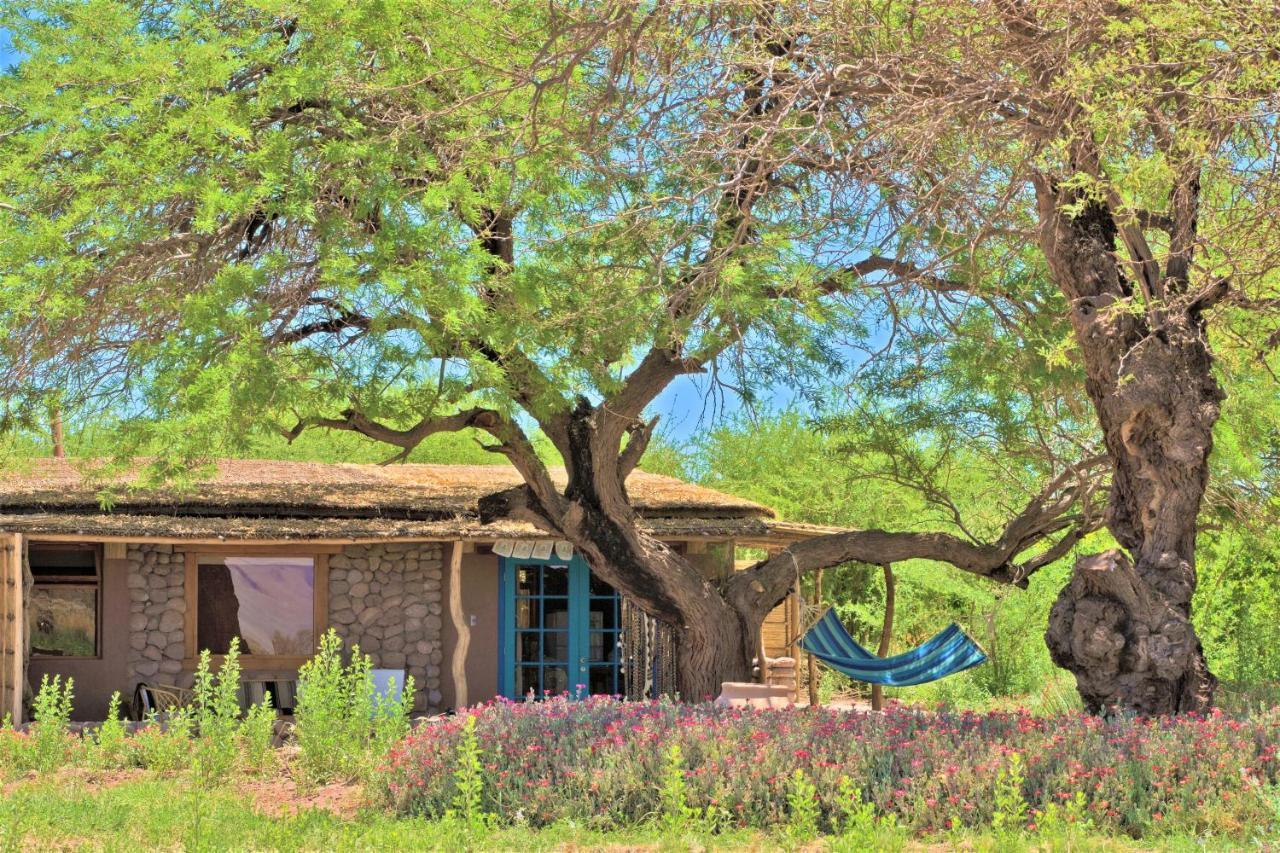 Villa Casita La Brea San Pedro de Atacama Exterior foto